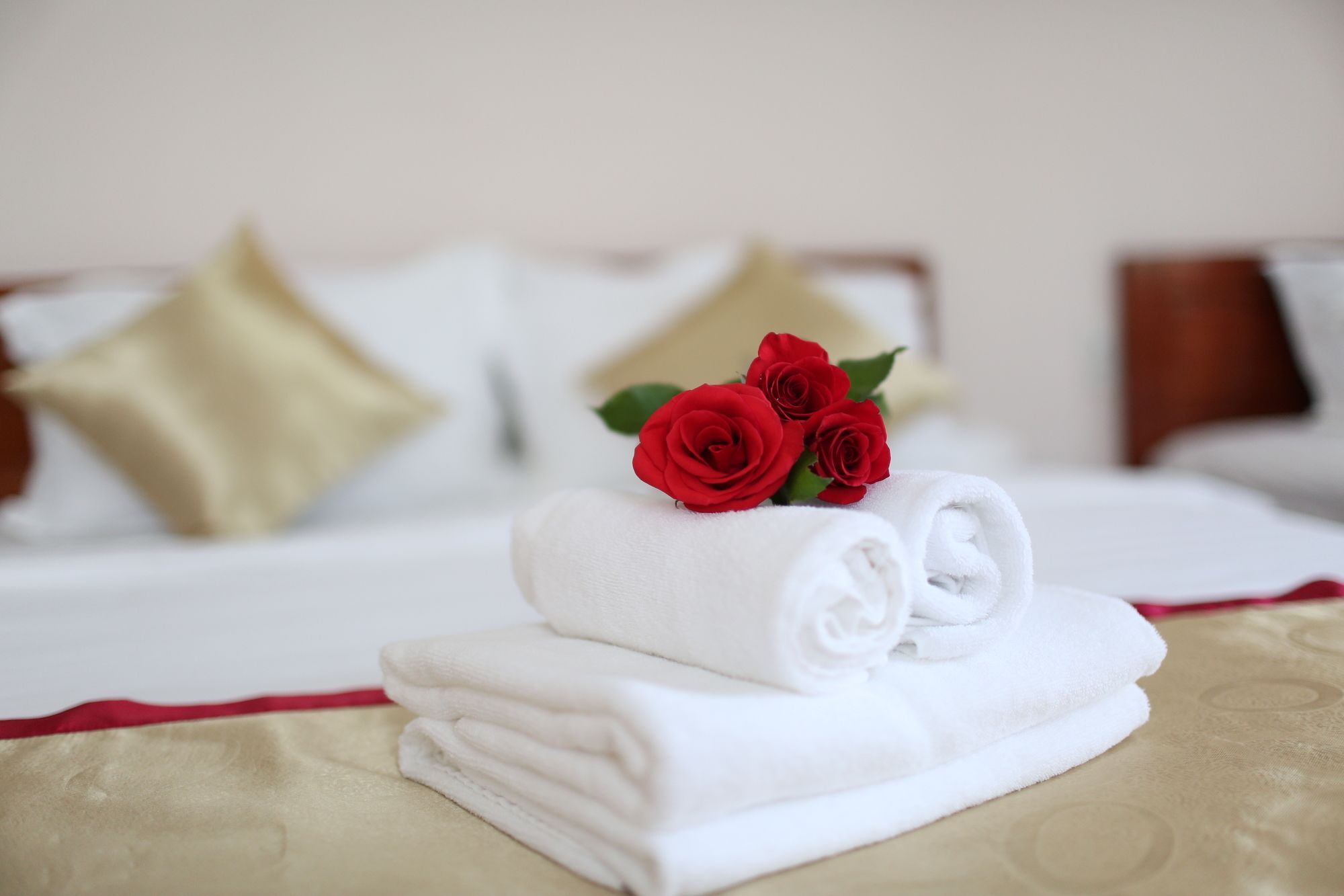 Thuan Hai Hotel Phú Quốc Ngoại thất bức ảnh
